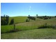 76 Mangrove Creek Road, Tullymorgan NSW 2463