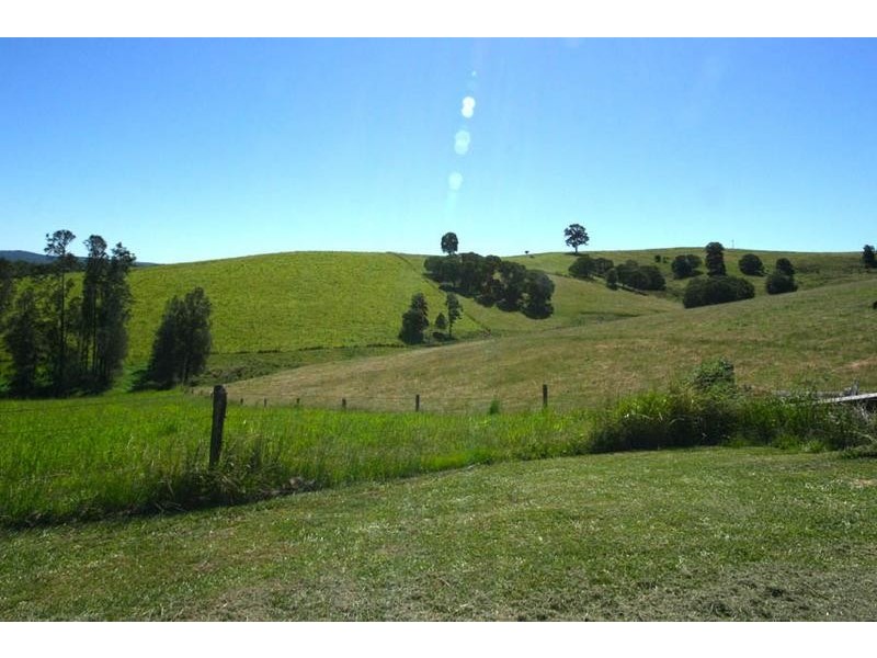 76 Mangrove Creek Road, Tullymorgan NSW 2463