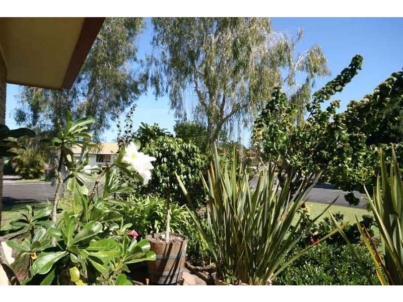 19 Sapphire Street, Townsend NSW 2463