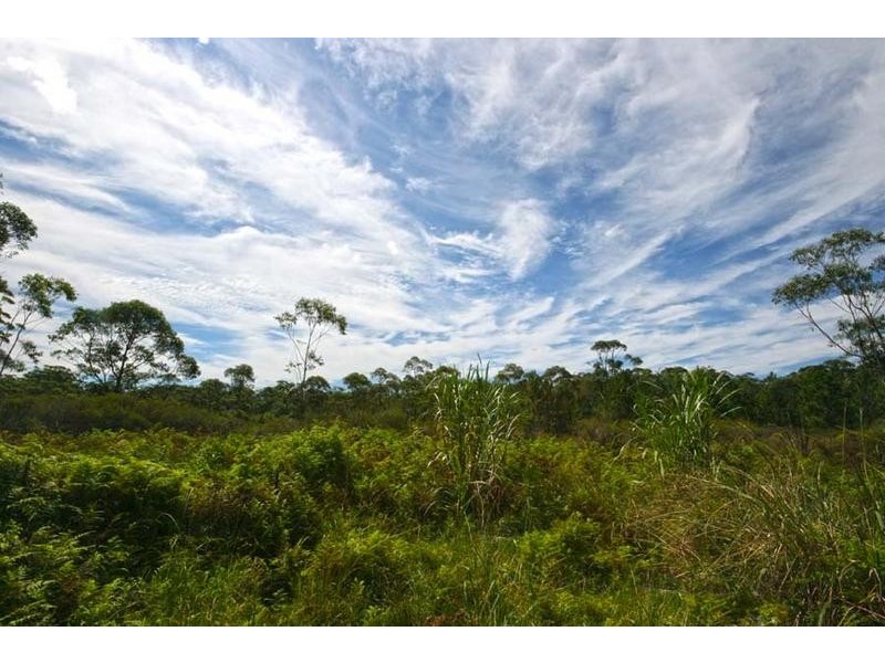 1027 Brooms Head Road, Taloumbi NSW 2463