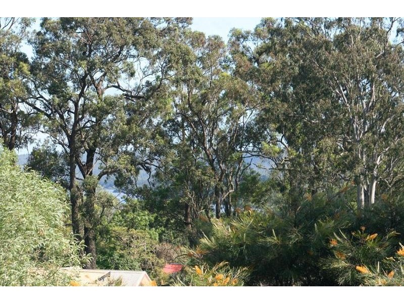 21 Eagle Drive, Maclean NSW 2463