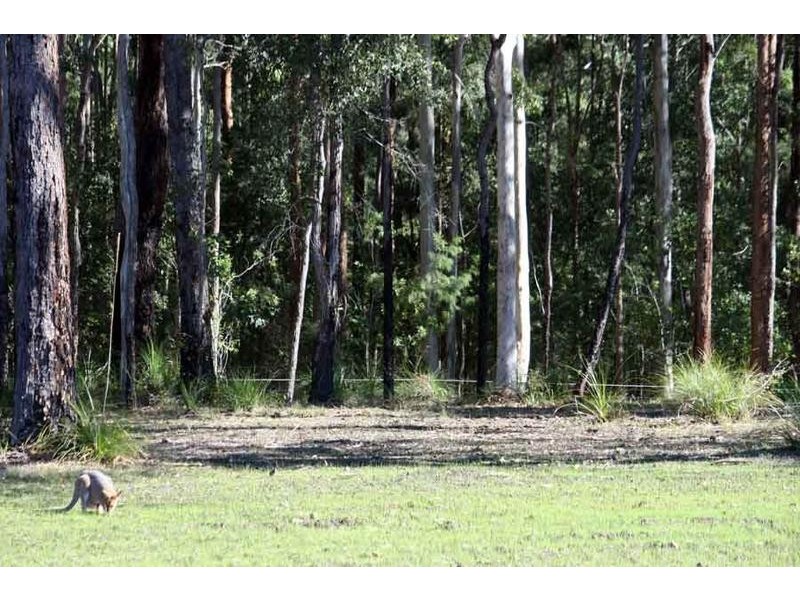 Lot 6 Dianella Drive, Gulmarrad NSW 2463