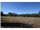 1063 Tullymorgan Road, Ashby NSW 2463