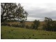 Tullymorgan NSW 2463