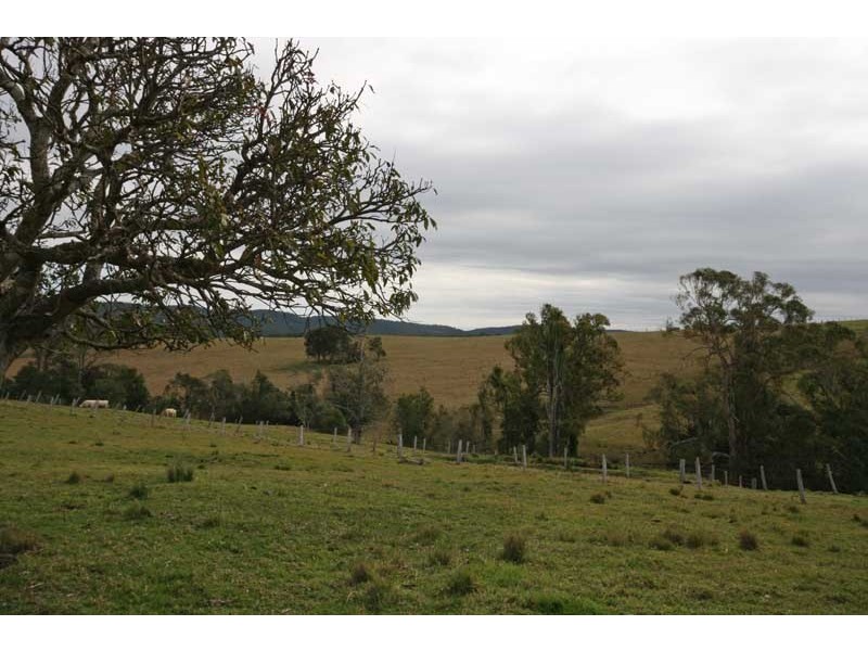 Tullymorgan NSW 2463