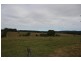 Tullymorgan NSW 2463