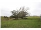 Tullymorgan NSW 2463
