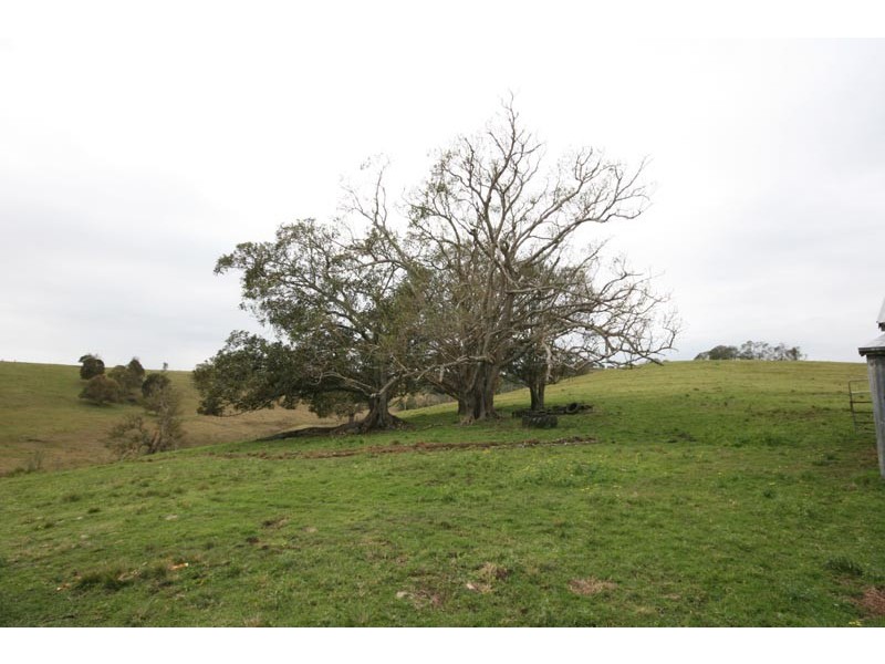 Tullymorgan NSW 2463
