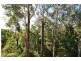 25 Clarence Street, Maclean NSW 2463