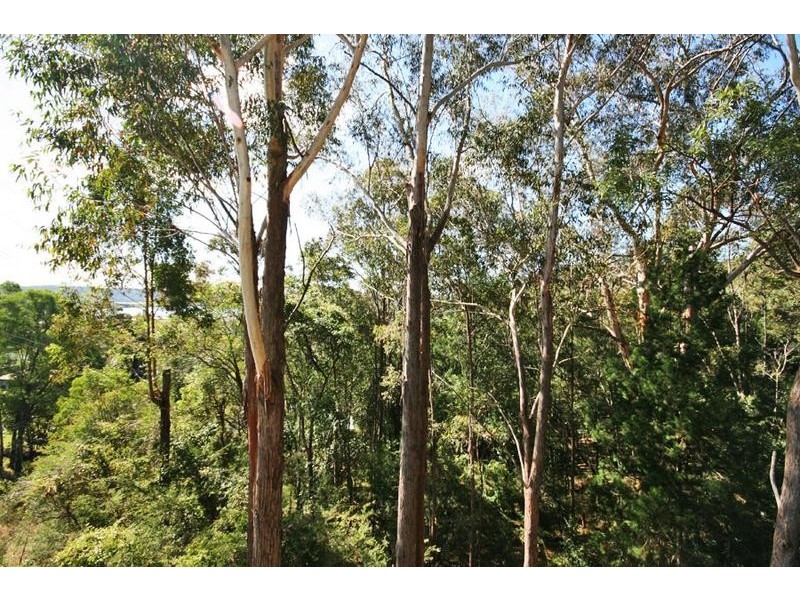 25 Clarence Street, Maclean NSW 2463