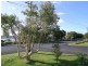 41 River Street, Maclean NSW 2463