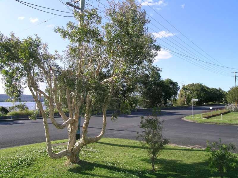 41 River Street, Maclean NSW 2463