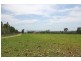 4252 Pringles Way, Lawrence NSW 2460