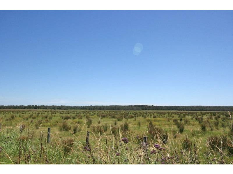 Lot 21 Kings Creek Road, Lawrence NSW 2460
