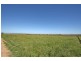 Lot 21 Kings Creek Road, Lawrence NSW 2460