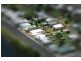 157 and 3 River Street and Rush Lane, Maclean NSW 2463