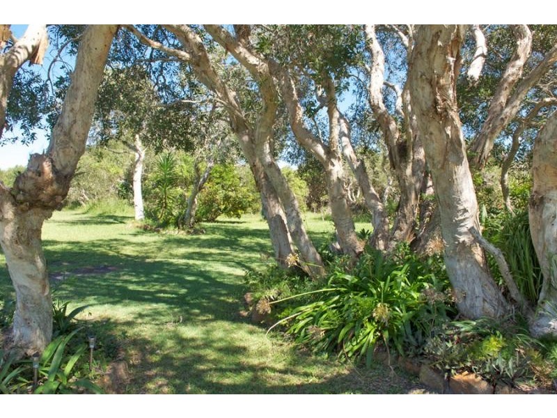 6 Boronia Street, Brooms Head NSW 2463