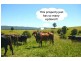 76 Mangrove Creek Road, Tullymorgan NSW 2463