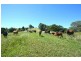 76 Mangrove Creek Road, Tullymorgan NSW 2463