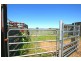 76 Mangrove Creek Road, Tullymorgan NSW 2463