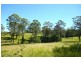 76 Mangrove Creek Road, Tullymorgan NSW 2463