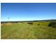76 Mangrove Creek Road, Tullymorgan NSW 2463