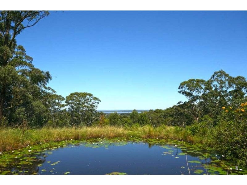 76 Mangrove Creek Road, Tullymorgan NSW 2463