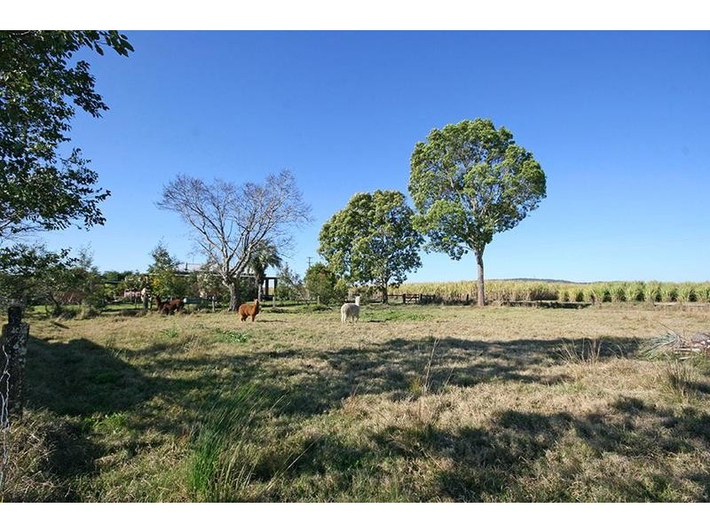 133 Kings Creek Road, Lawrence NSW 2460
