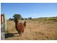 133 Kings Creek Road, Lawrence NSW 2460