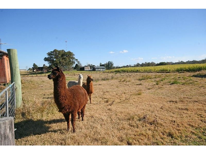 133 Kings Creek Road, Lawrence NSW 2460
