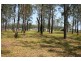Lot 45 Clyde Essex Drive, Gulmarrad NSW 2463