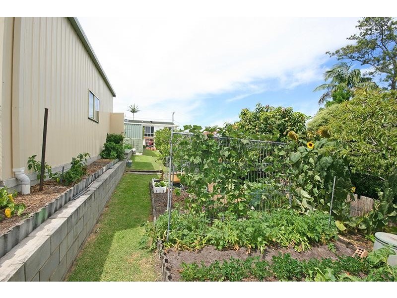 41 Taloumbi Street, Maclean NSW 2463