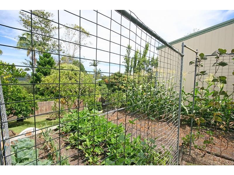 41 Taloumbi Street, Maclean NSW 2463