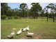 5 Major Mitchell Drive, Gulmarrad NSW 2463