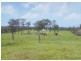 301 Tanglewood Road, Lawrence NSW 2460