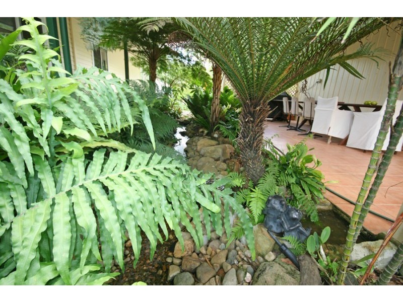 200 McIntyres Lane, Gulmarrad NSW 2463