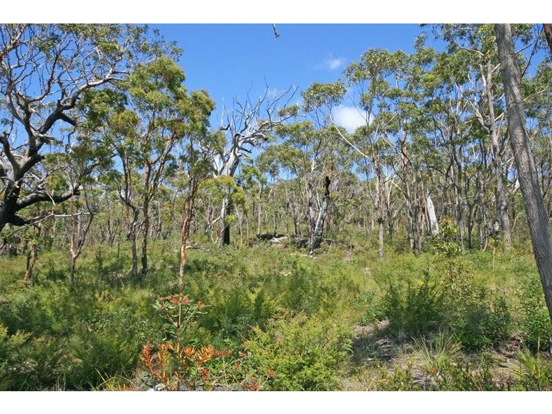 Lot 2 Brooms Head Road, Brooms Head NSW 2463