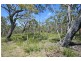 Lot 2 Brooms Head Road, Brooms Head NSW 2463