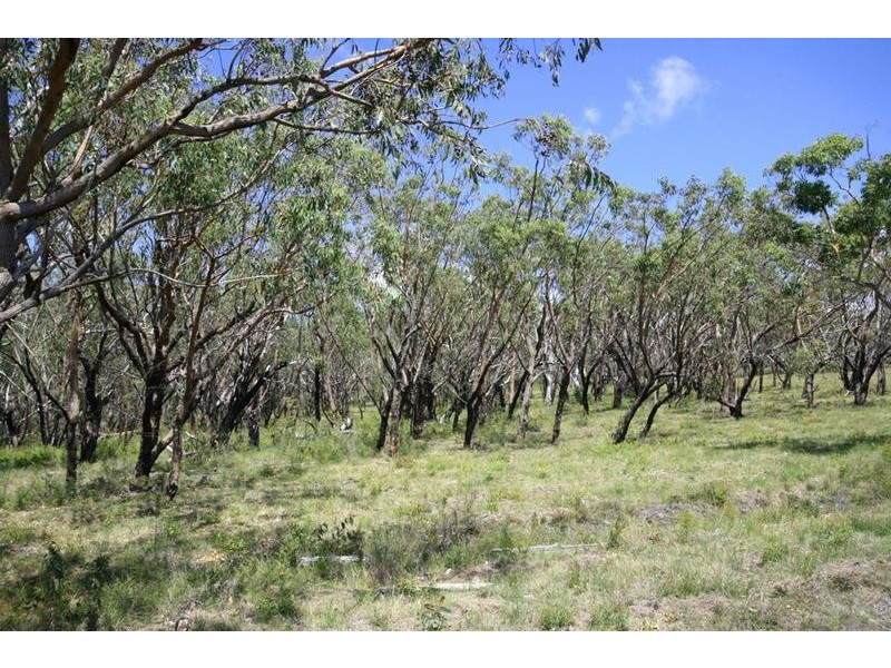 Lot 2 Brooms Head Road, Brooms Head NSW 2463