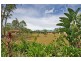 17 Albert Street, Gulmarrad NSW 2463