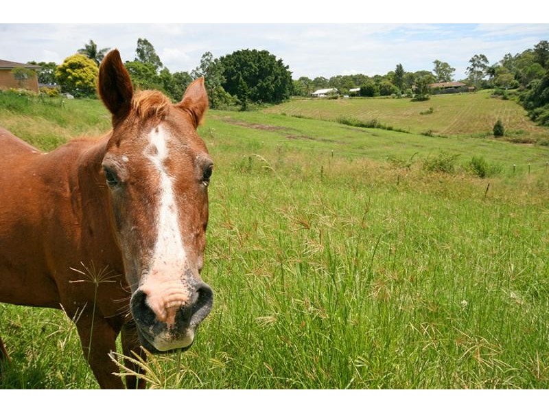 54 High Street, Lawrence NSW 2460