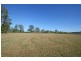 Mororo NSW 2469