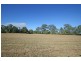 Mororo NSW 2469