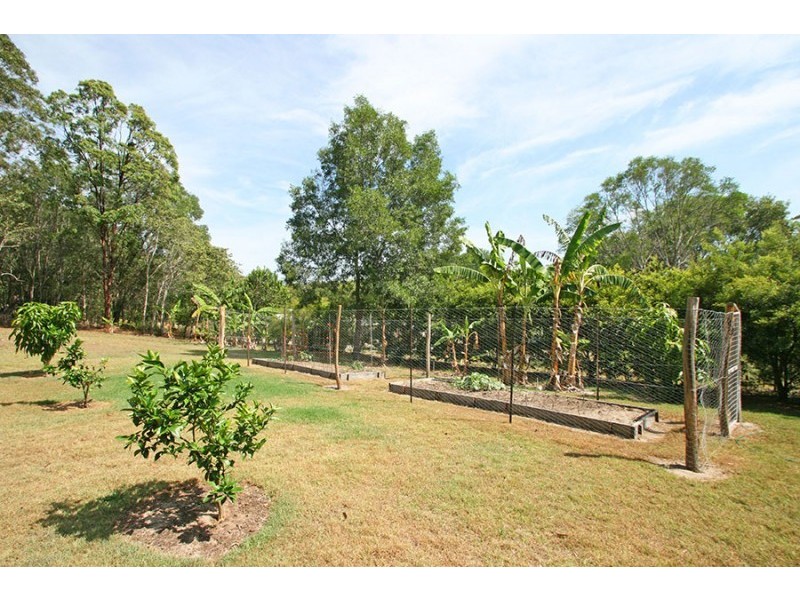 458 Murrayville Road, Ashby NSW 2463
