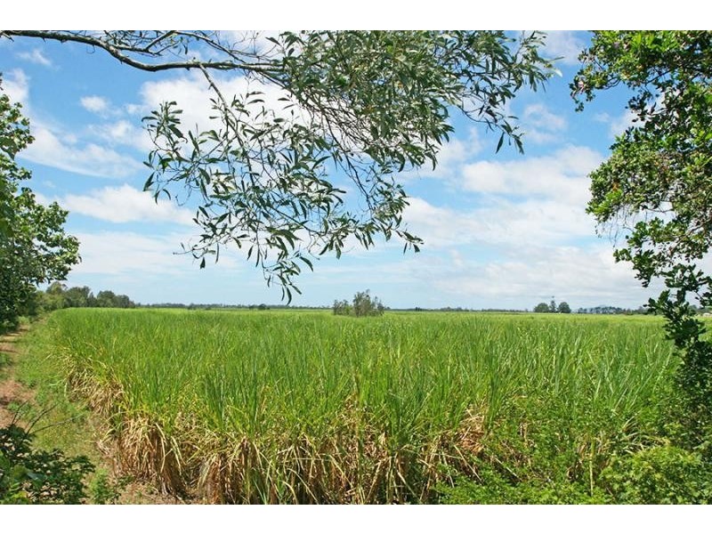 Goodwood Island NSW 2469