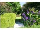 88 O’Maras Lane, Maclean NSW 2463