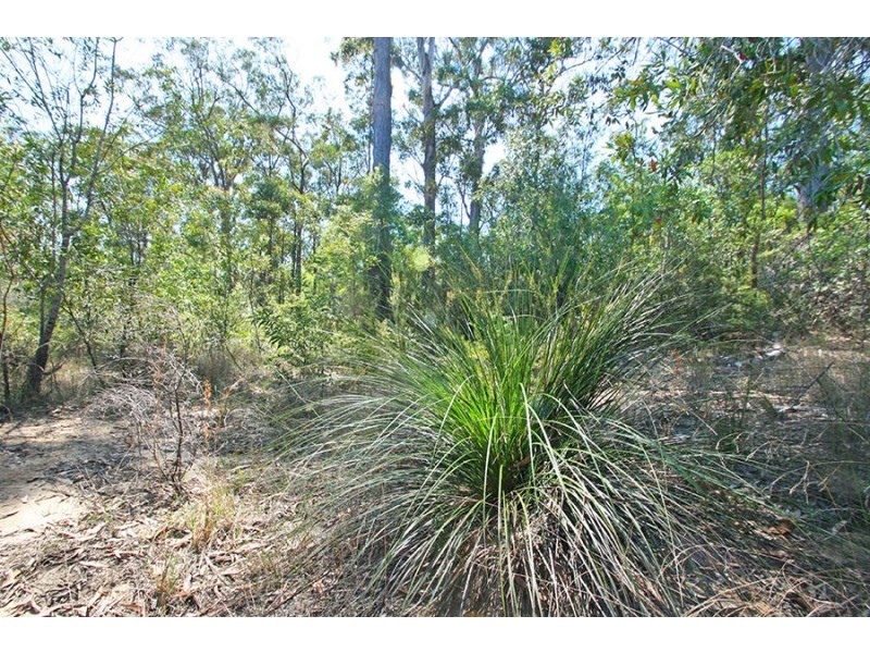 Lot 80 Whipbird Drive, Ashby NSW 2463