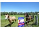 Maclean NSW 2463