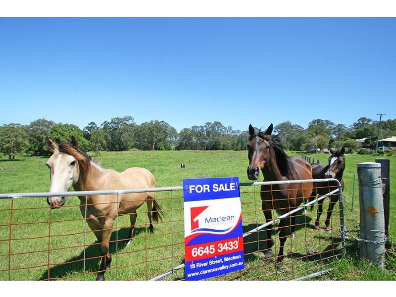 Maclean NSW 2463