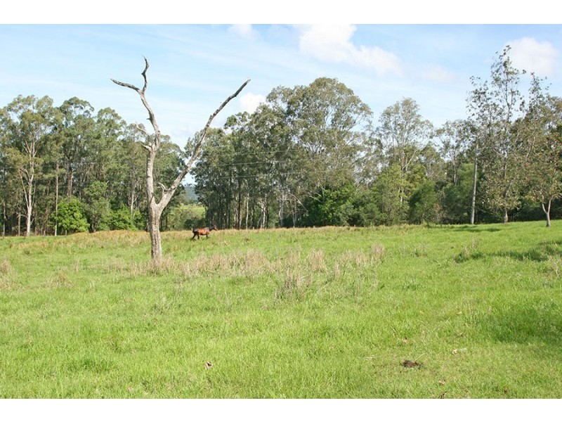 Maclean NSW 2463